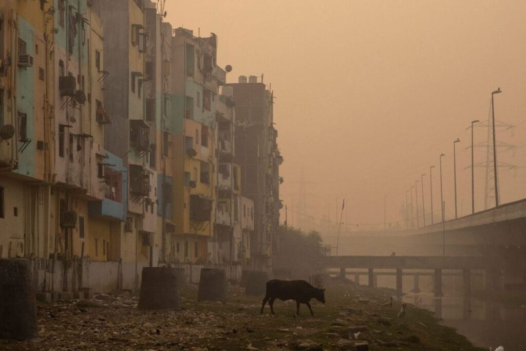 'Weather Outside Not Good at All': SC Judge Rues Spike in Delhi's Air Pollution