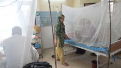 Pakistan hit my mysterious viral fever: All you need to know