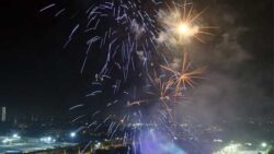 Delhi: No major fire incident reported this Diwali; fire dept gets 152 calls, 25% less than last year