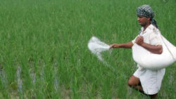 Will the draft Seed Bill 2019 undermine farmers’ rights?