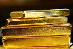 63-Year-Old Donates Her Property to Rickshaw Puller Within 6 Months She Lost Her Husband and Daughter