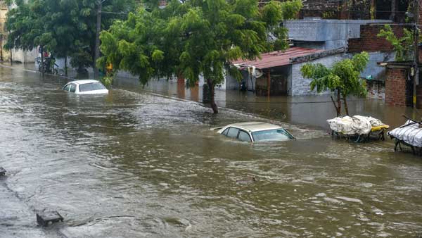 Tamil Nadu Rain: Heavy showers expected in Chennai today; Schools, government offices shut