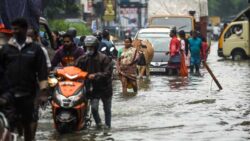 No respite: Red alert in 20 districts including Chennai as rains pound Tamil Nadu
