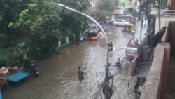 Tamil Nadu rains: 10 videos show how lives thrown out of gear due to floods, waterlogged roads