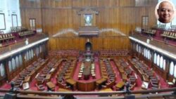 Legislative Council elections and their significance