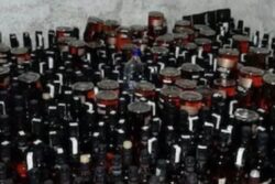 Delhi Excise Policy: Licensed Venues Won't Need Separate Permit to Serve Liquor at Weddings, Parties