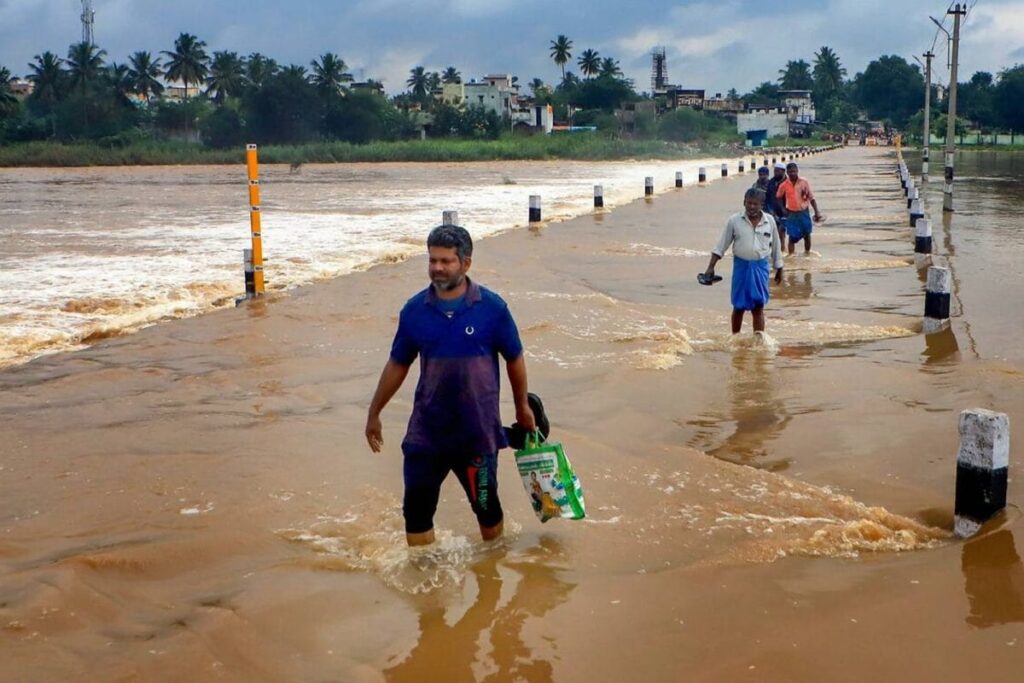 Rain Worries: Foodgrains Sprouting in Plants, Coffee Berries Falling in Karnataka