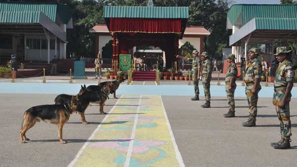 India expands its wildlife sniffer dog force with 14 newly trained 'Super Sniffers'