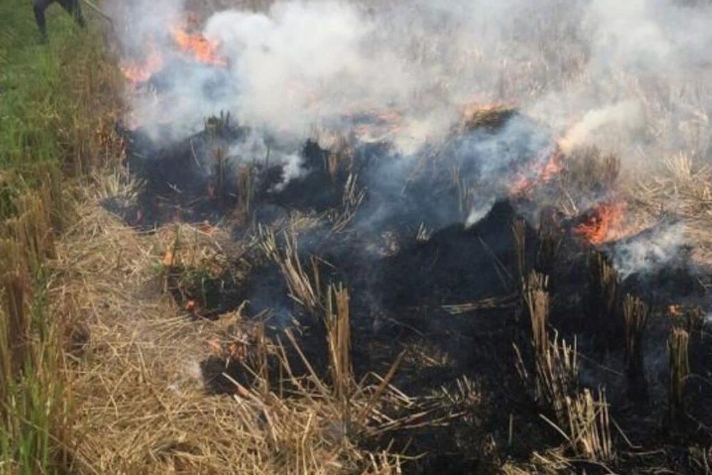 Delhi Environment Minister Demands Centre Hold Emergency Meeting on Crop Residue Burning