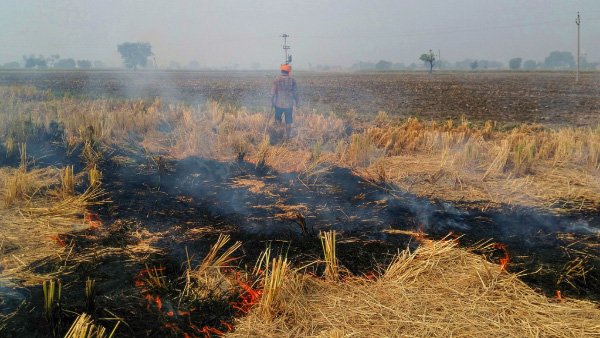 Centre decriminalises stubble burning by farmers, forms committee on MSP