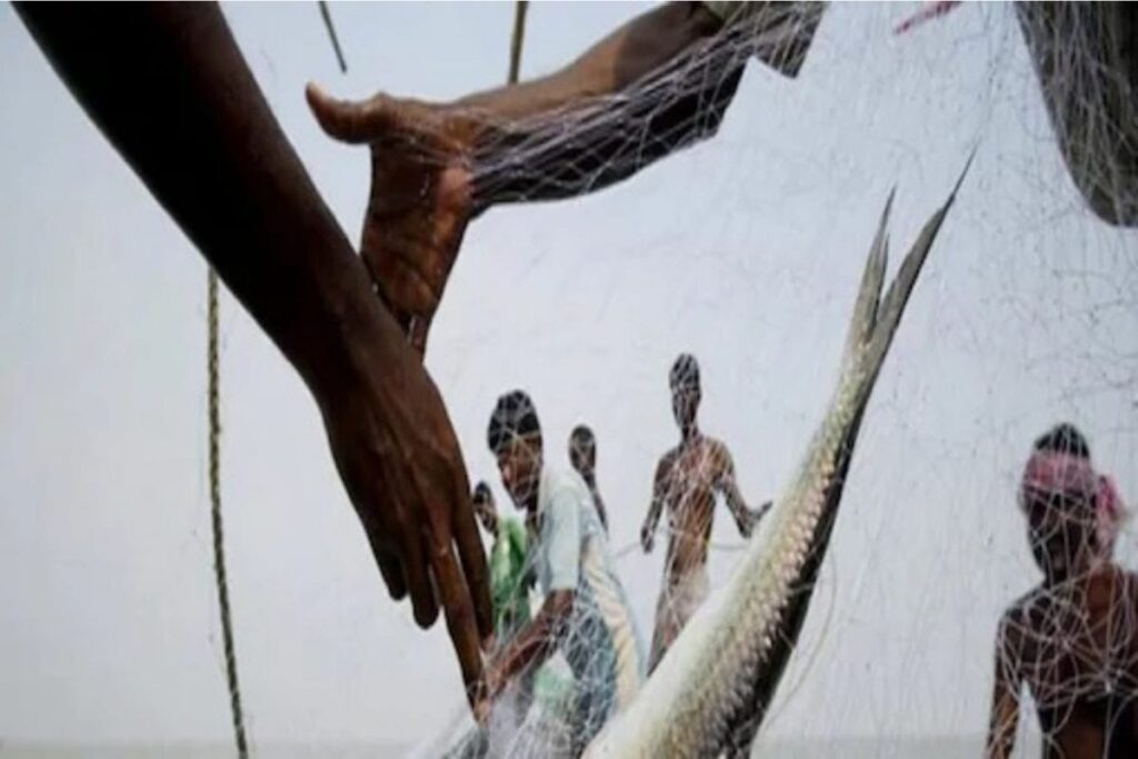 Bangladesh Fisherman Overjoyed After Catching Huge Catla Fish, Sells it for Rs 26,000