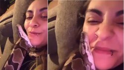 WATCH: Snakes priceless reaction after girl cuddles, kisses the reptile goes viral