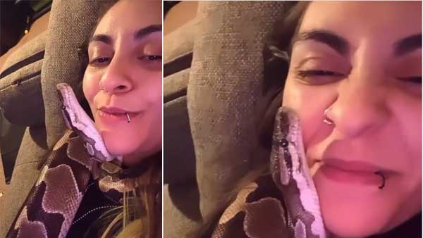 WATCH: Snakes priceless reaction after girl cuddles, kisses the reptile goes viral