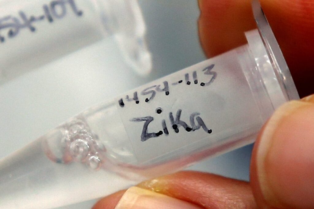 After Kanpur, Panic in Lucknow as 2 Test Positive for Zika Virus