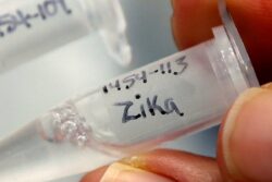 Finding 100 Real Cases Better Than Under-Reporting: How UP's Top IAS Officer is Handling Spread of Zika Virus in Kanpur