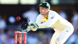 Ashes: Alex Carey in the pink ahead of home day-night Test