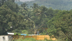 Environment-related offences rose by 68 pc in 2020, compared to previous year: Centre in Parliament