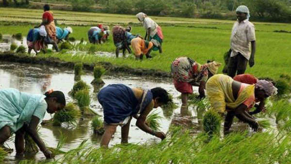 PM Modi to release 10th instalment of PM-KISAN on Jan 1: How to check status