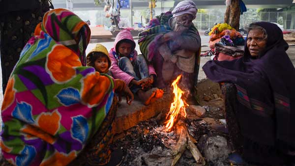 Severe cold wave to hit North West India till Tuesday. Check IMD full forecast