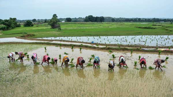 PM-Kisan 10th installment to roll out by next week: How to check your status and name in beneficiary list?