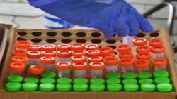 Omicron threat: Maharashtra reports 6 COVID cases in passengers from South Africa