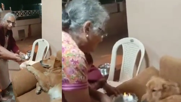 Sudha Murthy performs aarti for pet dog Gopi, sings 'happy birthday'; Internet loves it