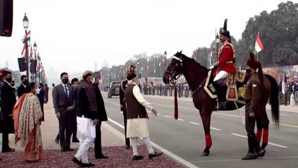 President’s bodyguard horse, Virat retires