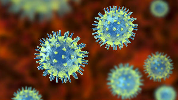 What is Lassa Fever, symptoms and more? Is this a sign of the new pandemic era?