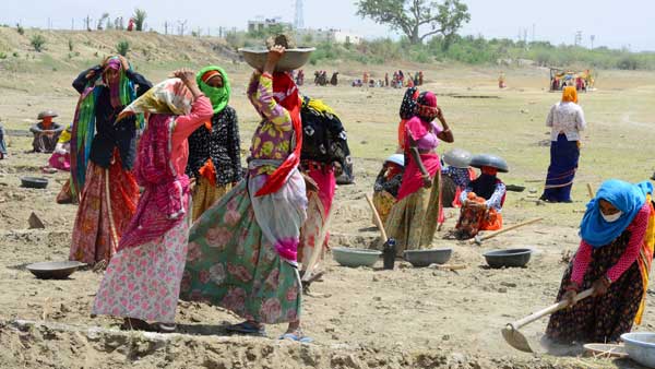 Budget 2022: Centre allocates Rs 73,000 cr to MGNREGA, 25.51 pc lower than 2021-22 revised estimate