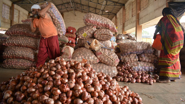 To check price rise, Centre releases buffer stock of onion