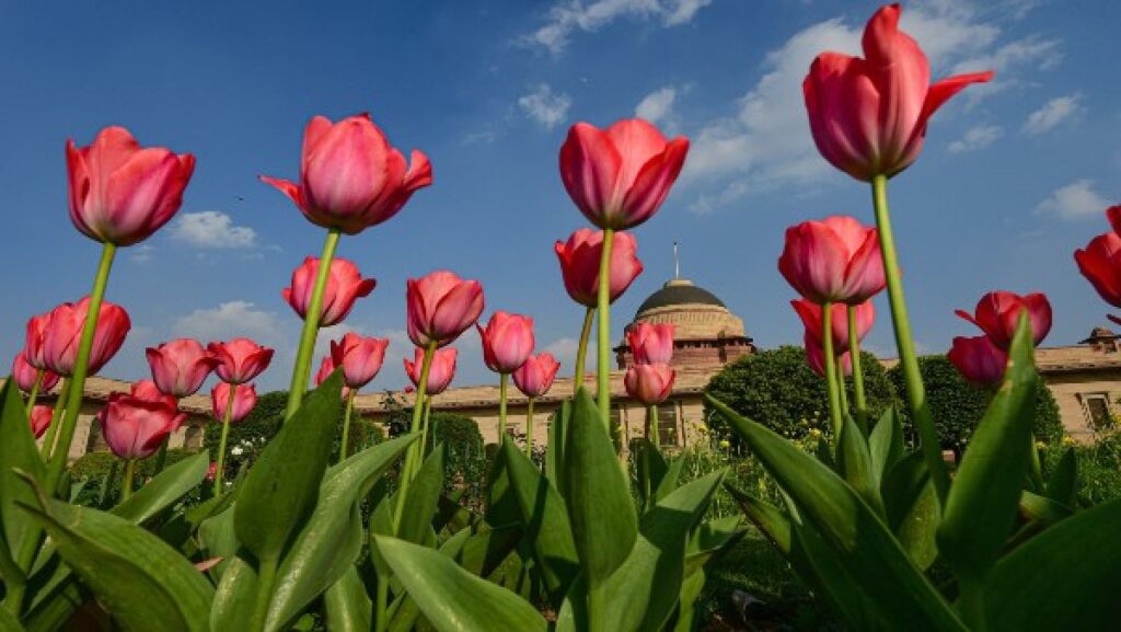 Mughal Gardens to remain open for general public till March 16