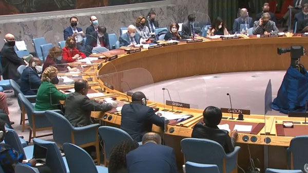 What India, Russia, China and US said at the UNSC