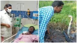 Popular snake-catcher Vava Suresh leaves hospital after being treated with 65 bottles of anti-venom