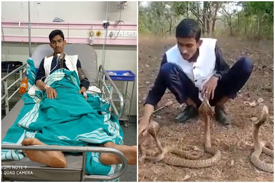 How not to mess with cobras: A Karnataka man gets bitten by snake as stunt goes wrong [Viral Video]