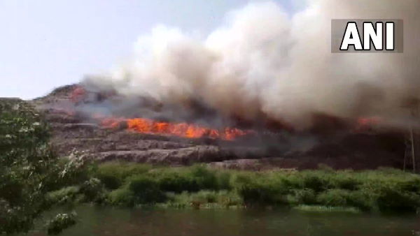 Massive fire breaks out at Ghazipur landfill site, Delhi govt seeks report