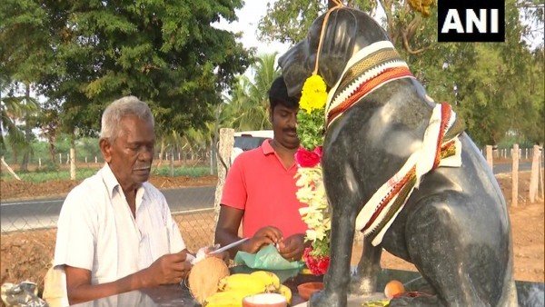 Tamil Nadu: 82-year-old man builds temple in memory of his dog