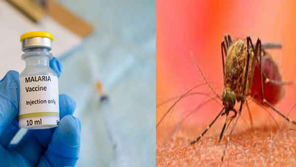 Explained: How Mosquirix vaccine will be the potential game changer in fight against Malaria?