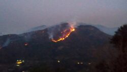 WATCH: Forest fires flare up in  Uttarakhand as temperatures soar