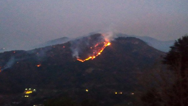 WATCH: Forest fires flare up in  Uttarakhand as temperatures soar