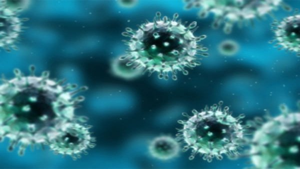 Very few recombinant variants of coronavirus have been found in India, says INSACOG