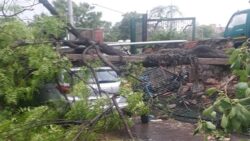 Delhi rain: Two dead, trees uprooted, buildings damaged as heavy rains, winds batter national capital