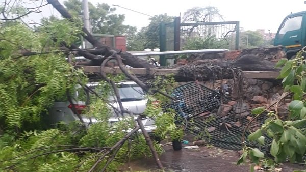 Delhi rain: Two dead, trees uprooted, buildings damaged as heavy rains, winds batter national capital