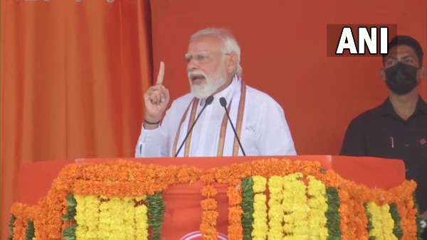 'Pariwarwaadi' parties only think about their own development: PM Modi