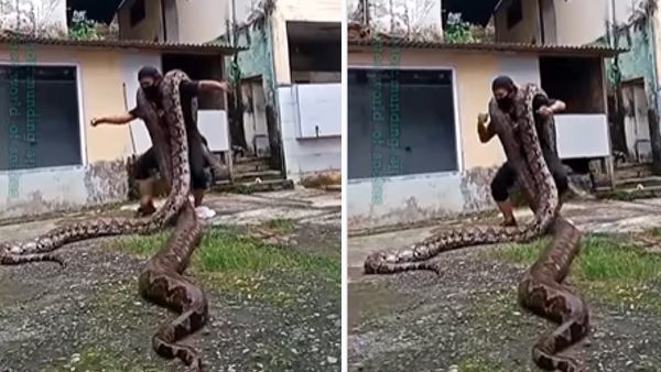 Man dances with pythons on his shoulders, video goes viral