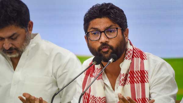 Azadi March: Mevani, 9 others sentenced to 3 months in jail