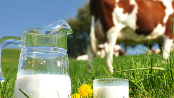 Explained: What is World Milk Day? Benefits of drinking milk and interesting facts