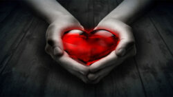 Explained: Does a wife need her husband’s permission to donate an organ