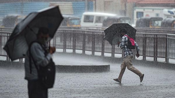 Yellow alert for 10 districts in Kerala as heavy rains to continue; 2 dams opened