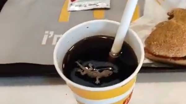 Man finds 'dead lizard floating in cold drink'; McDonald’s outlet in Ahmedabad sealed after video goes viral