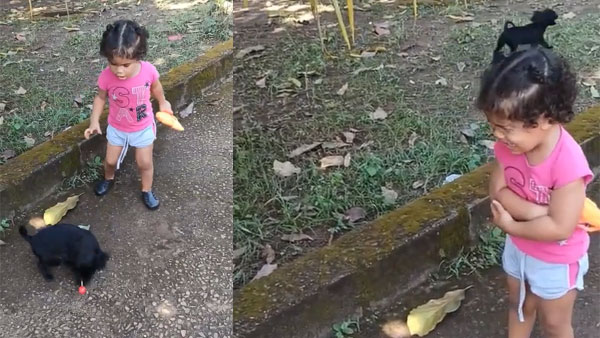 WATCH: Puppy distracts little girl to steal her candy, video viral